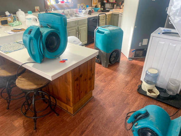 Best Water damage restoration cost  in Cottonwood, MN