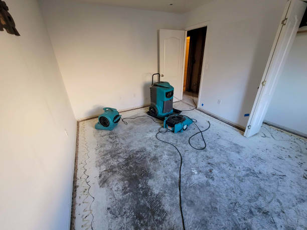 Best Water damage contractors near me  in Cottonwood, MN