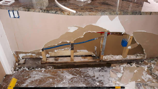  Cottonwood, MN Water damage restoration Pros
