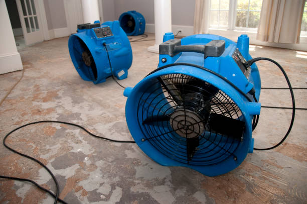Best Water damage restoration near me  in Cottonwood, MN