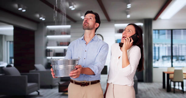Best Residential water damage restoration  in Cottonwood, MN